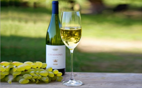 國產(chǎn)紅酒葡萄酒BLS餐飲集團葡萄酒推廣會